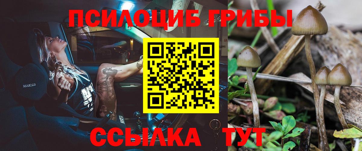 Псилоцибиновые грибы мицелий  Вход с VPN  Томск 