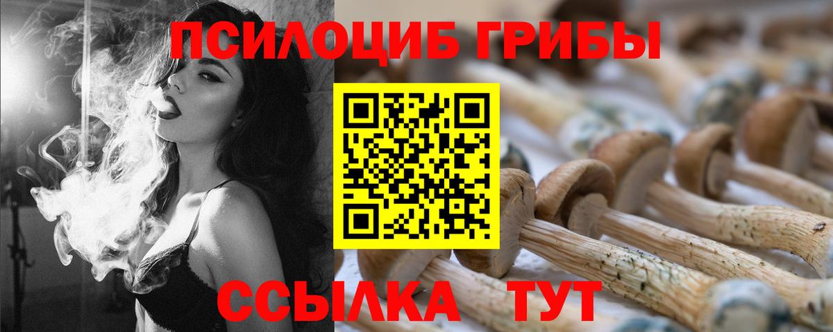 Псилоцибиновые грибы Psilocybine cubensis Томск